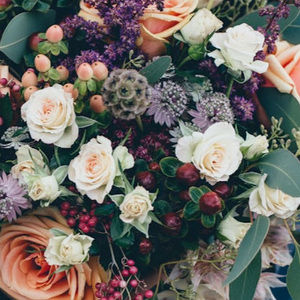 Meet your Posher, Pearl